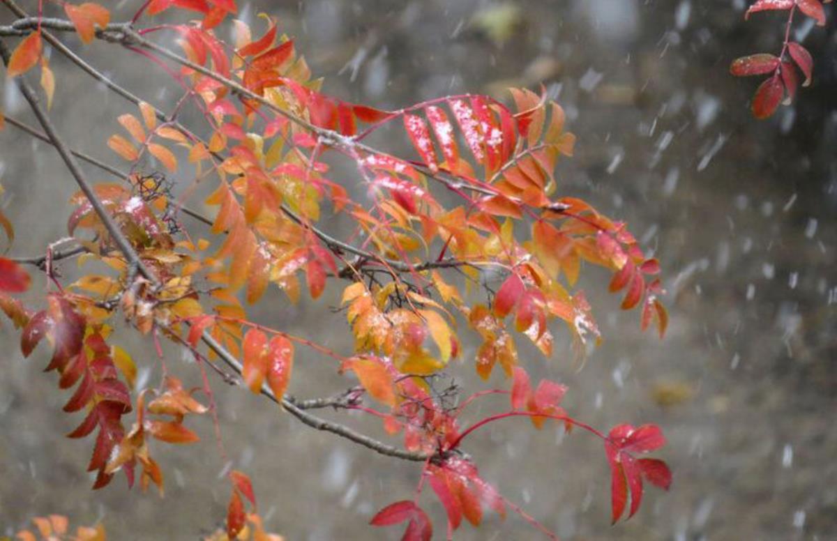 Новая волна потепления