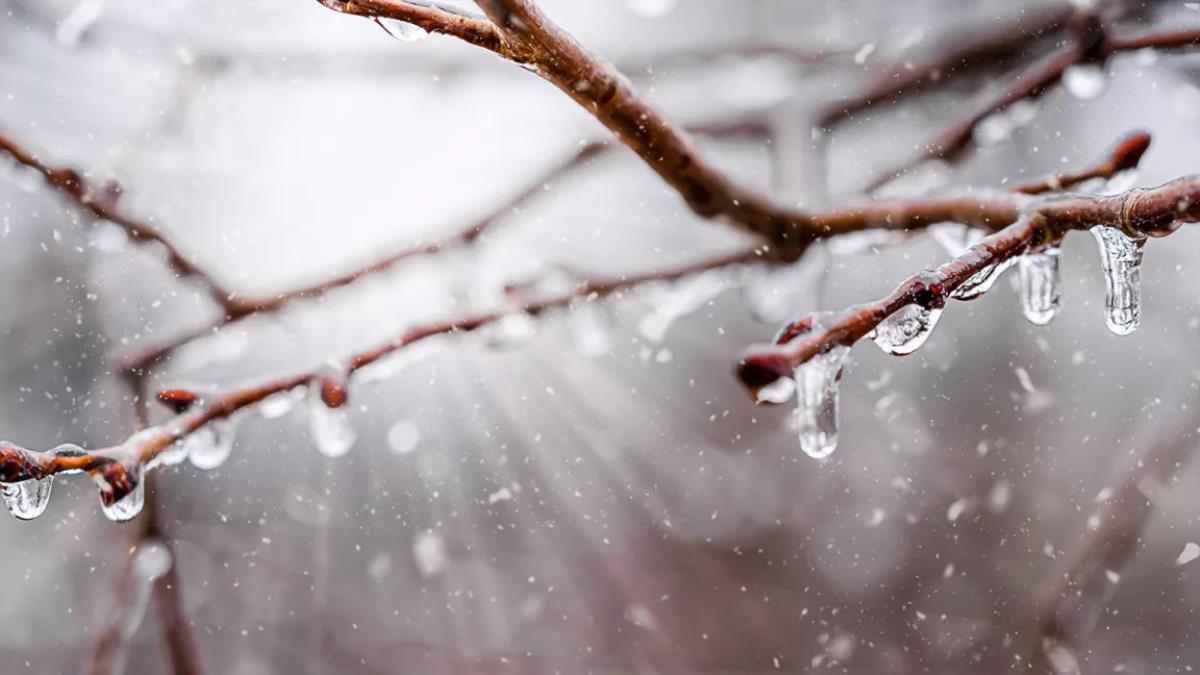 Дождь со снегом