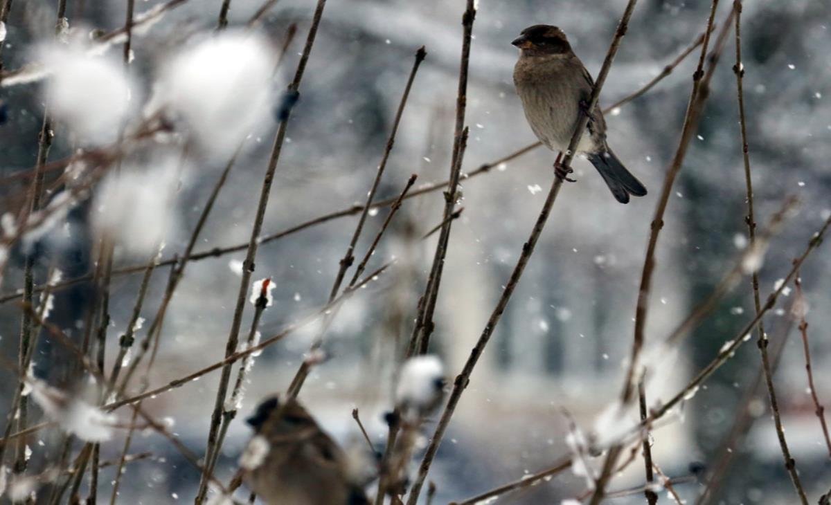 И снова минус