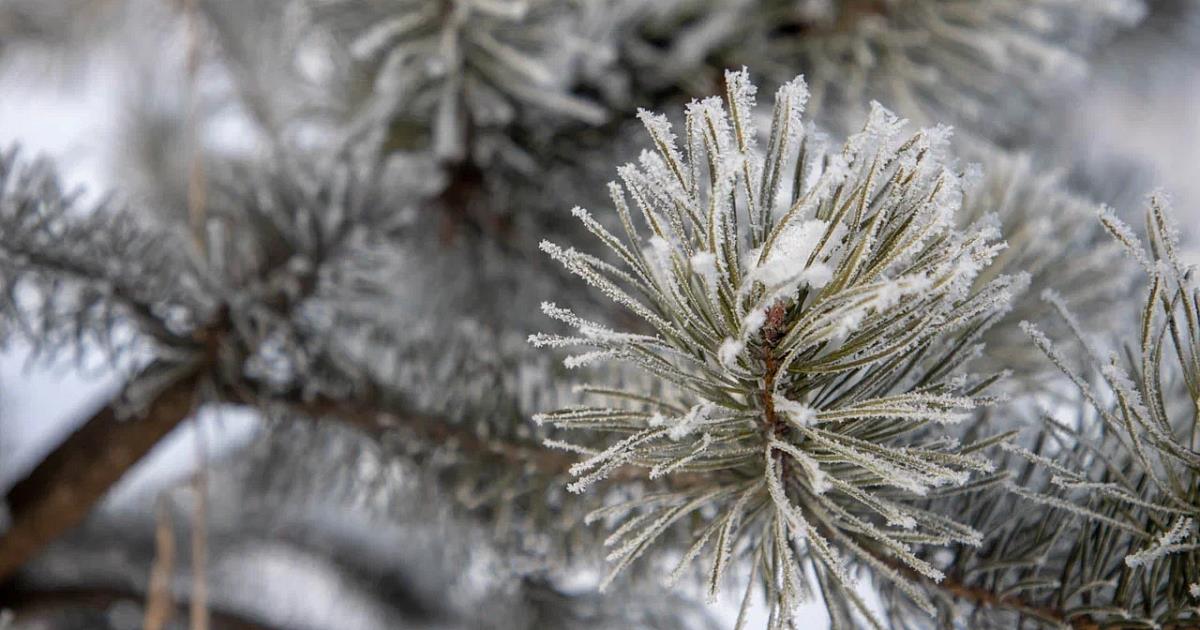 Небольшое похолодание