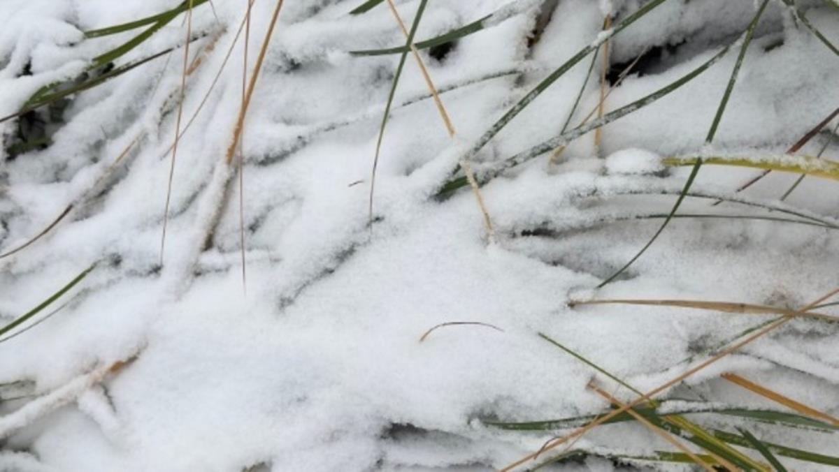 Погода обещает быть ветреной