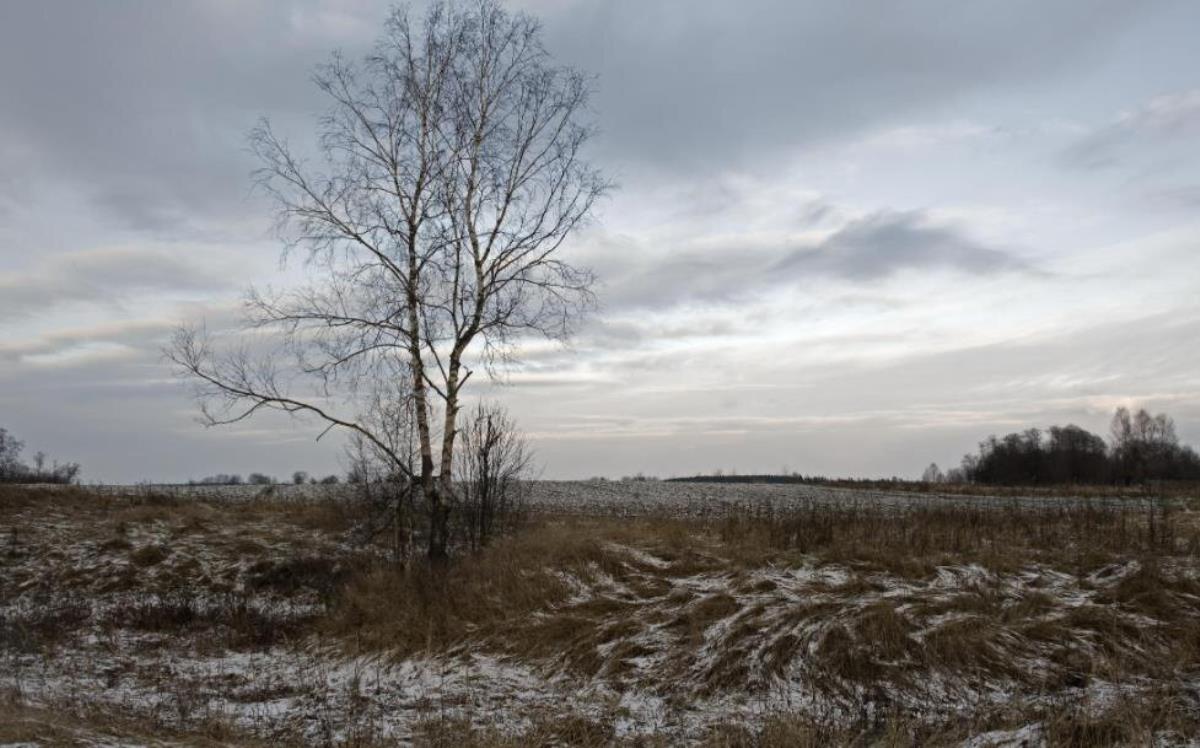 Зима не торопится