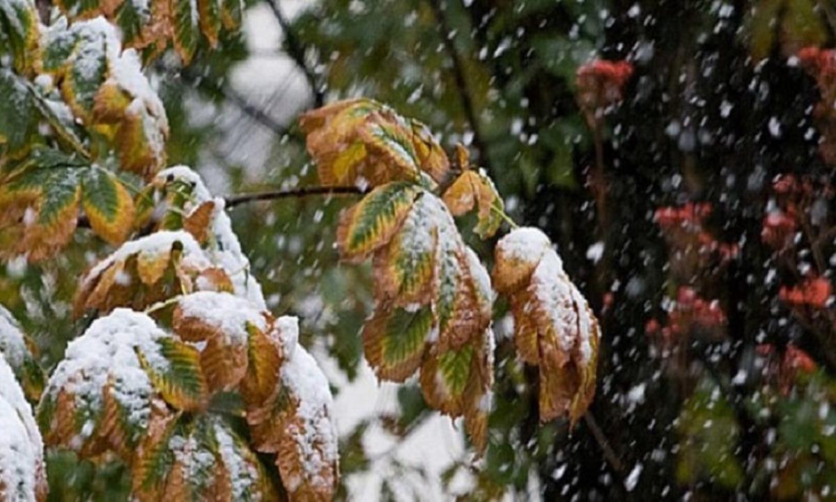 Мокрый снег