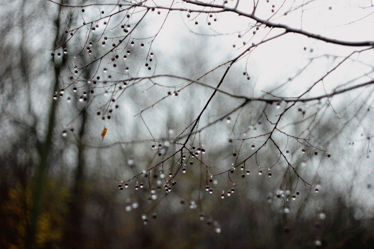 Пасмурная погода