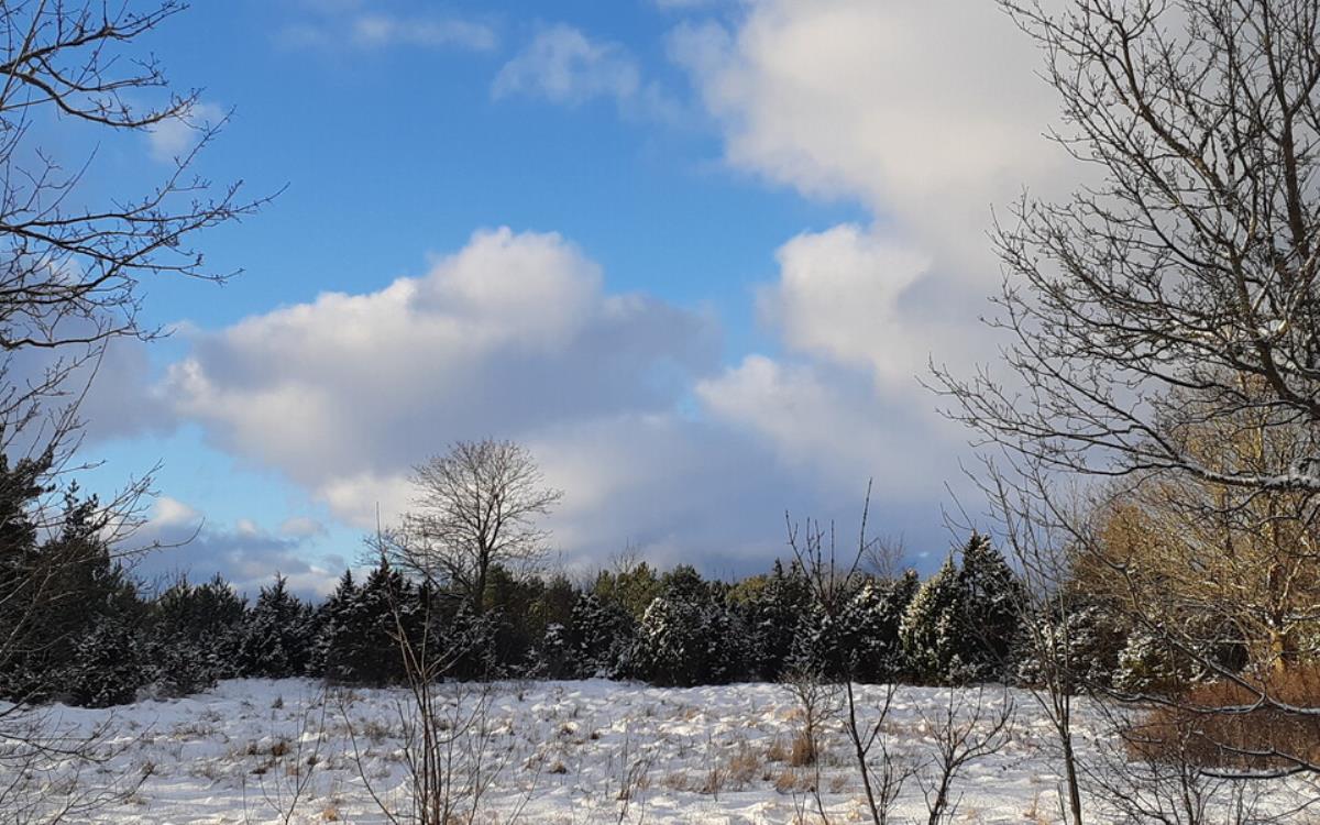 Оттепель продолжается