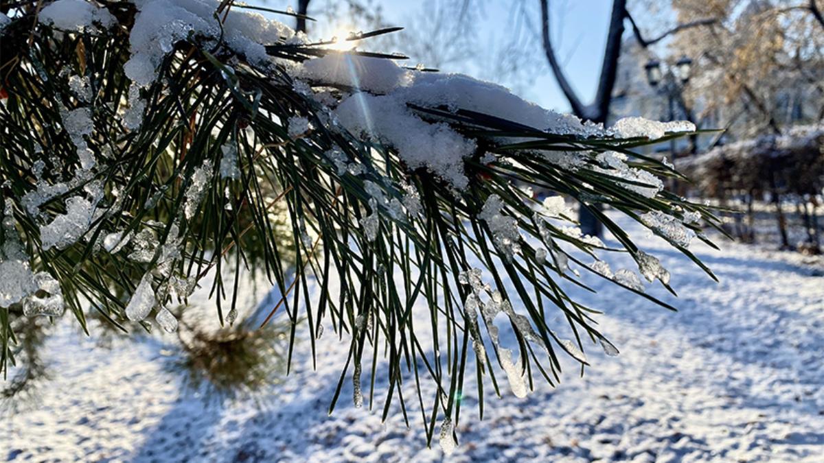 Нестандартная зима