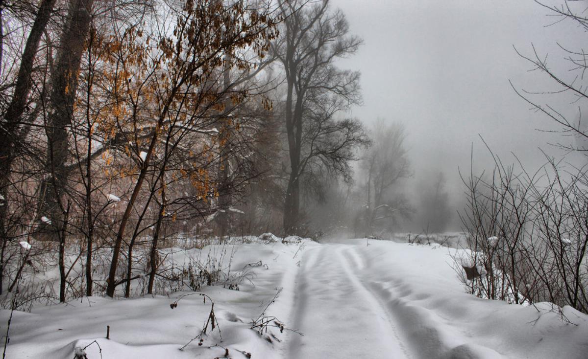 Снежный покров увеличится