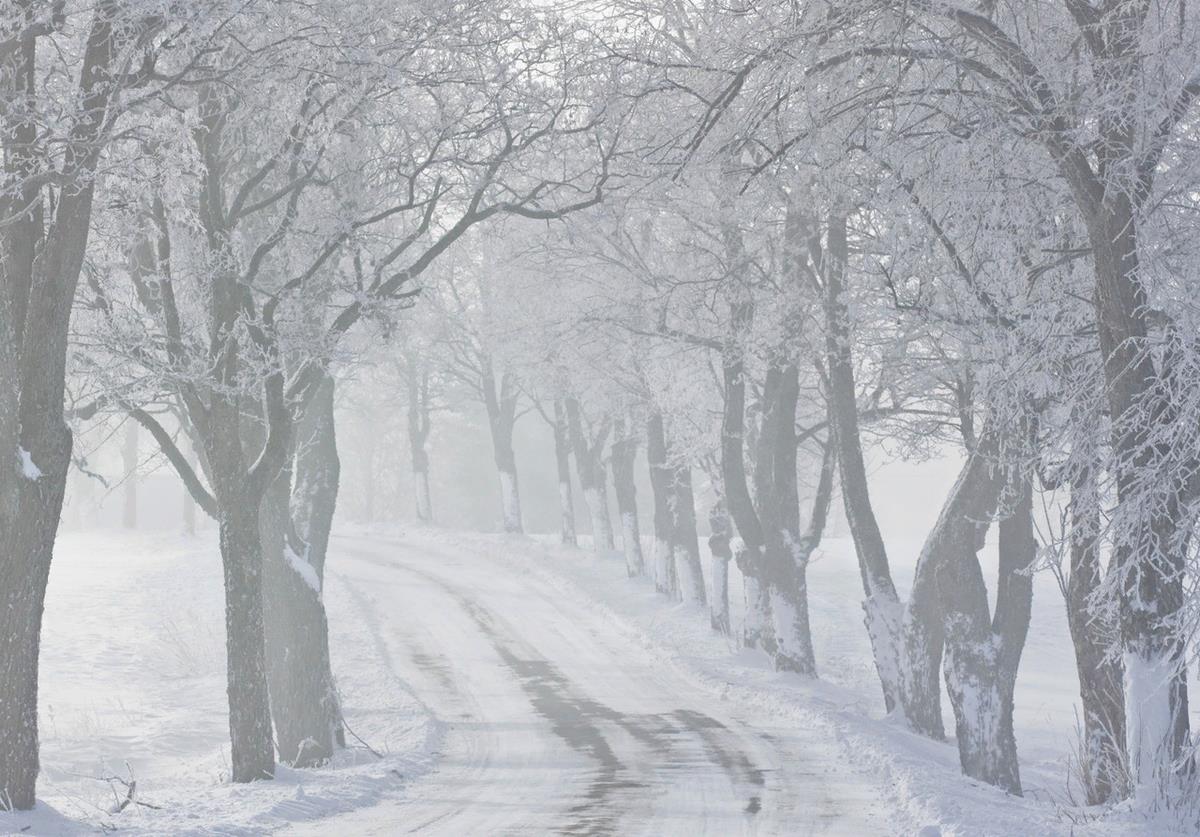 Днем до ноля градусов