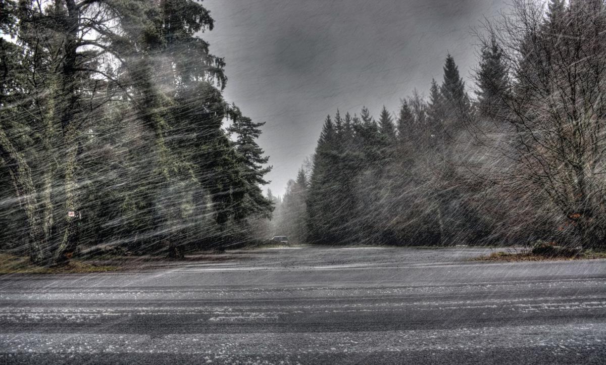 Плюс в декабре