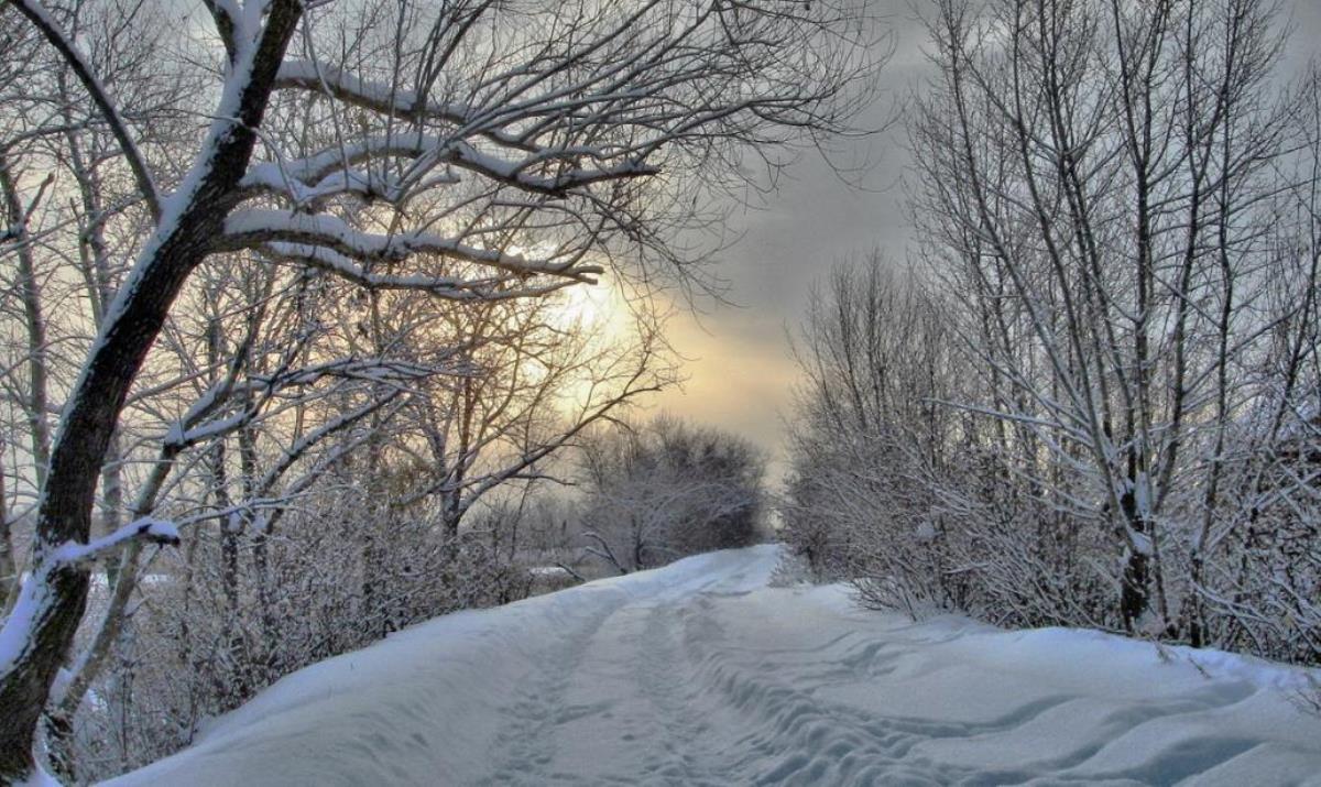 Температура опустится ниже десяти градусов