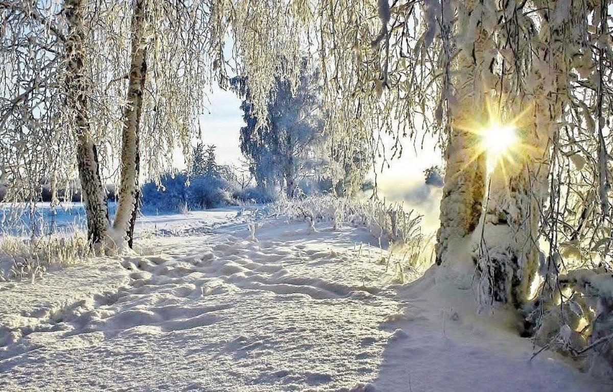 Морозно и солнечно