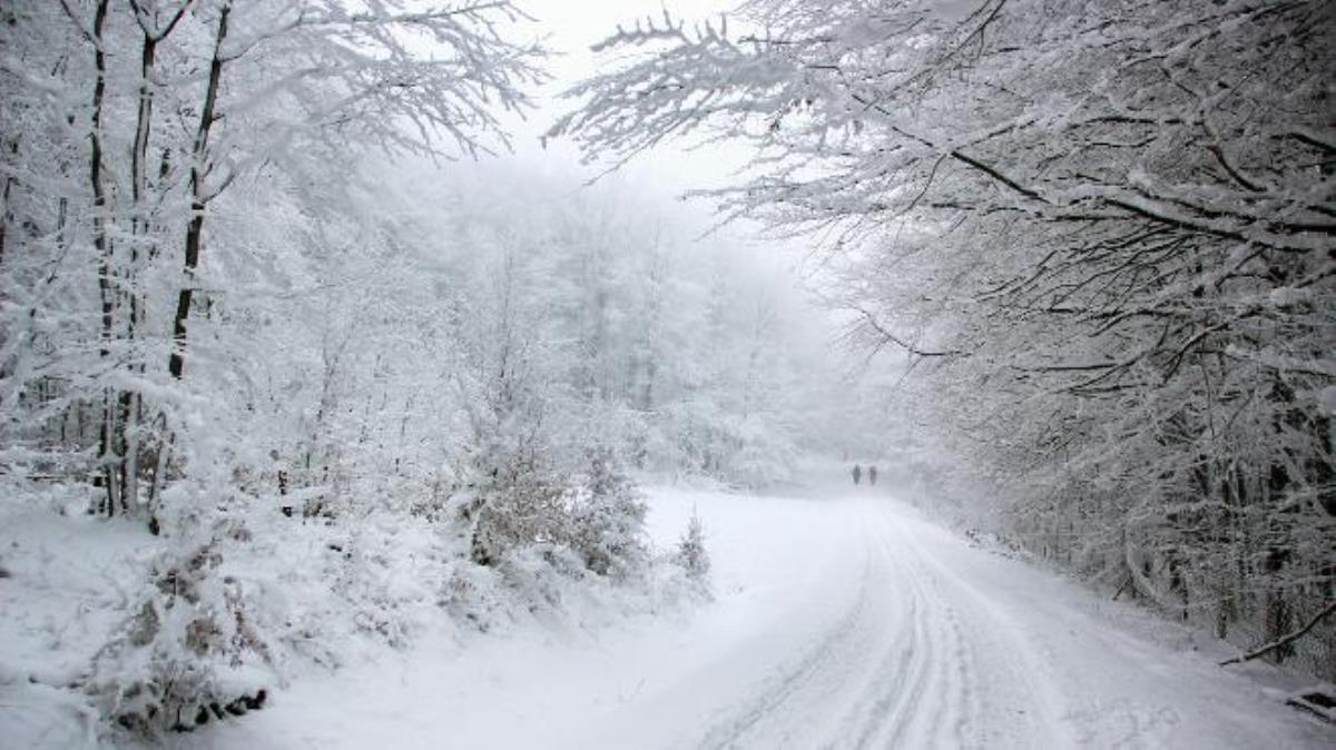 На улице заметно потеплеет