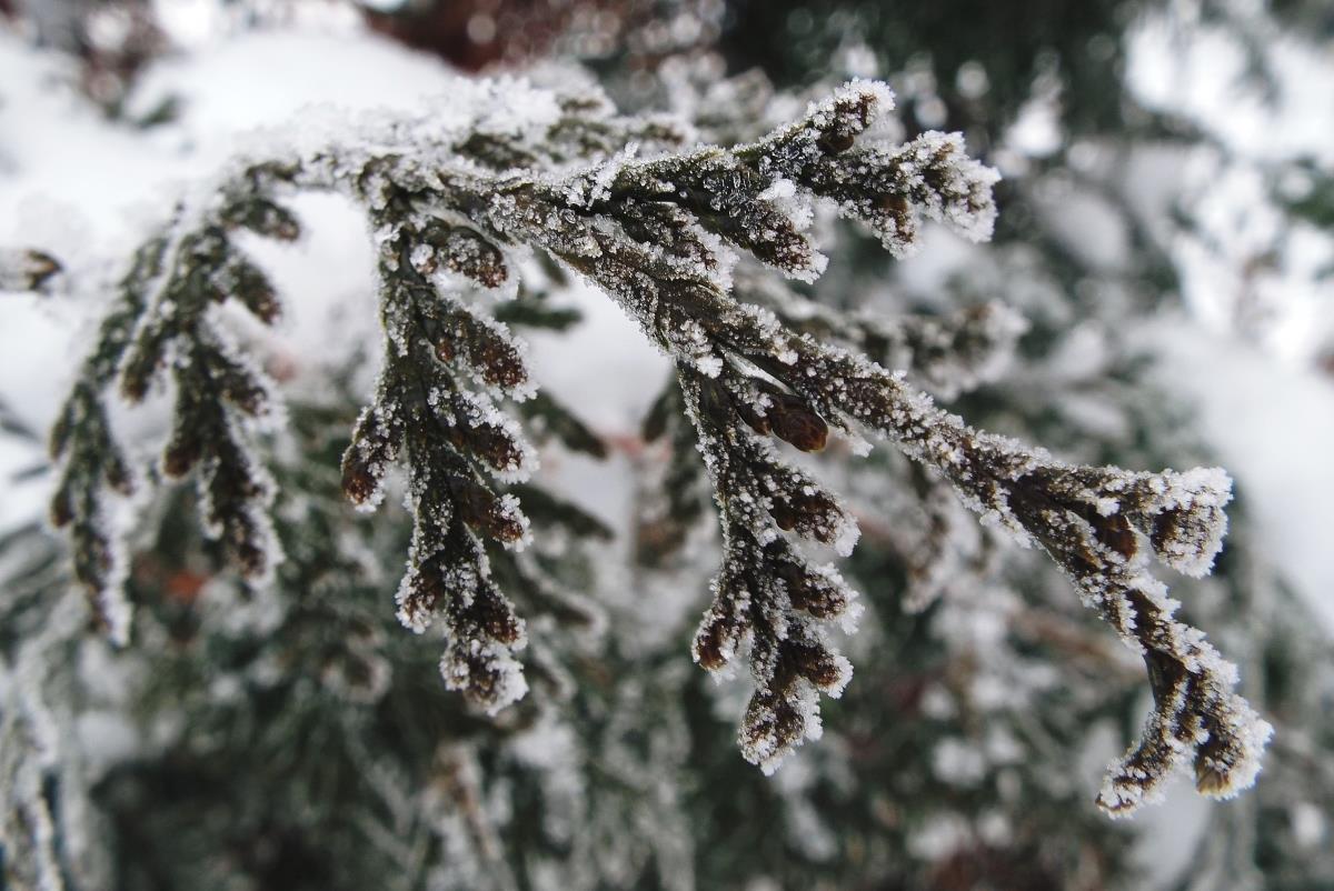 Комфортная температура