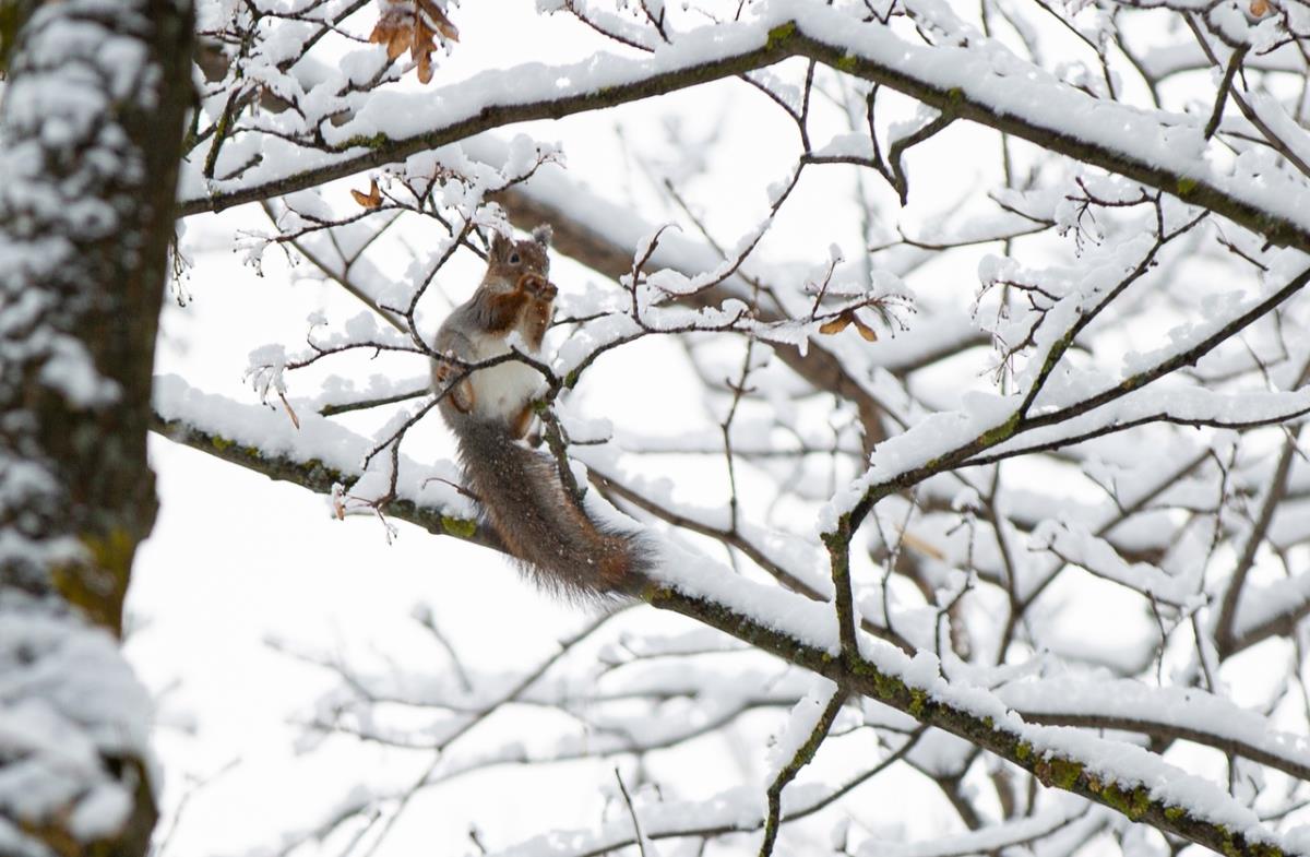 Днем возможен плюс