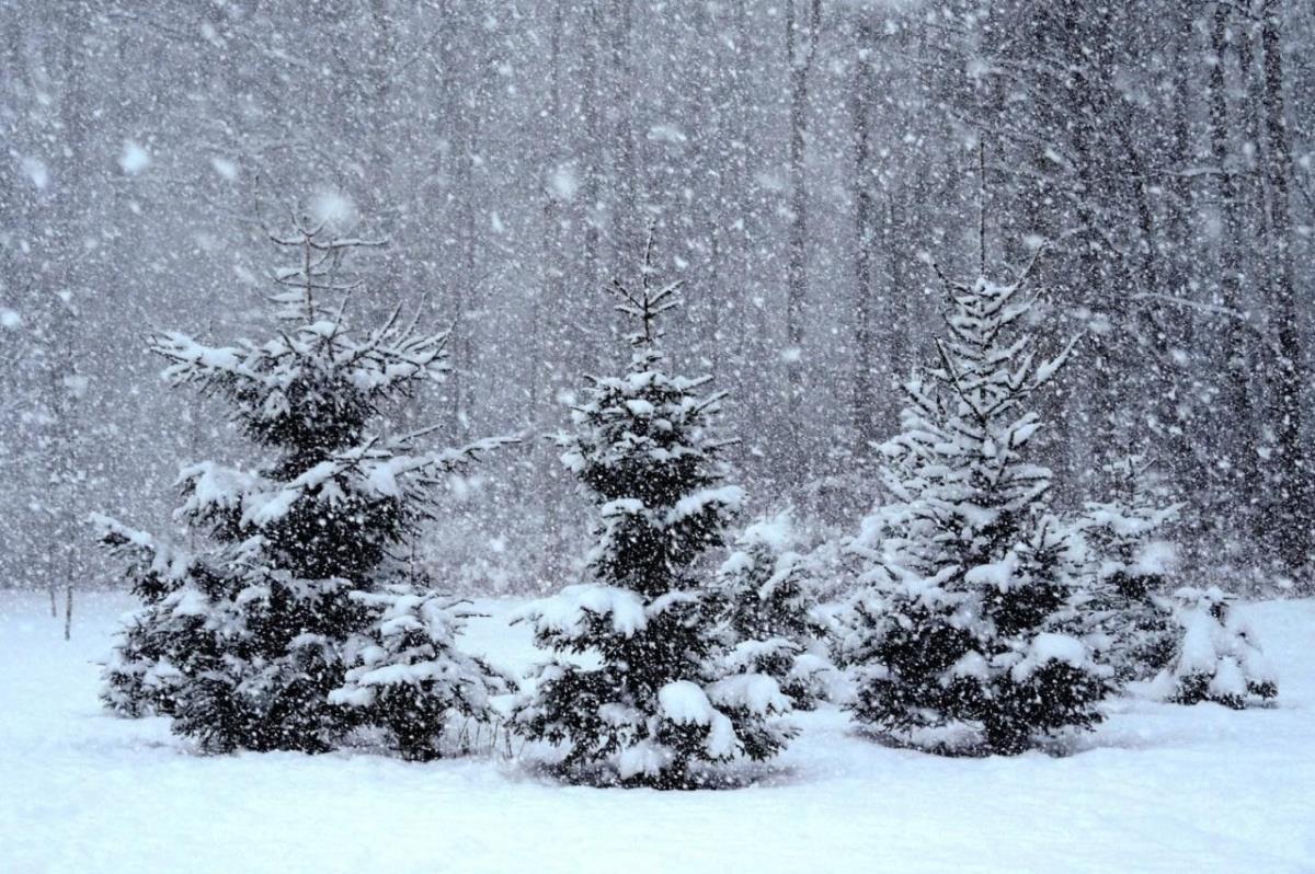 Снегопад продолжается