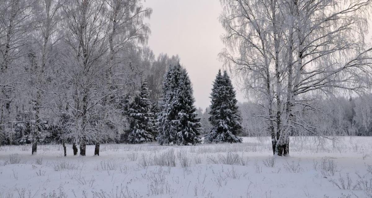 На улице немного потеплеет