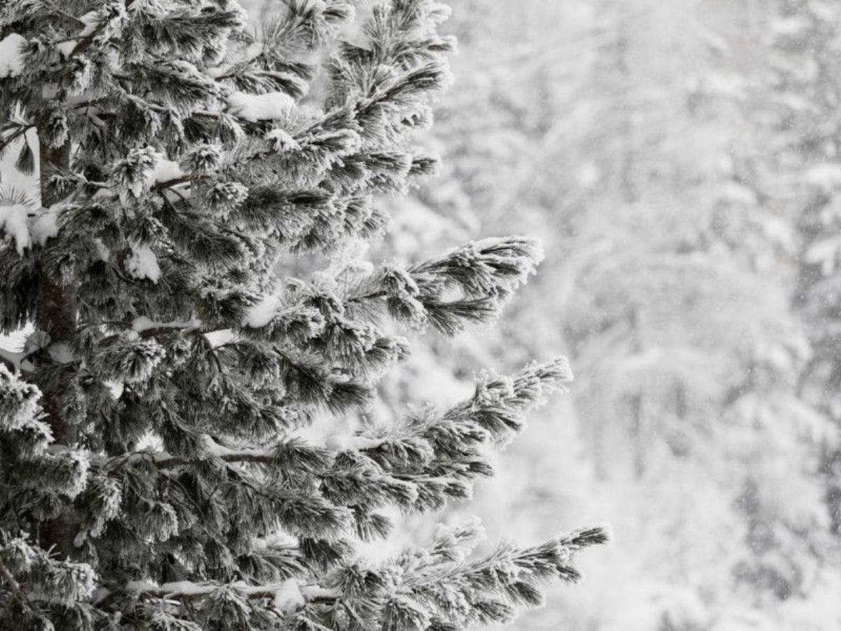 Слабый ветер и небольшой снег