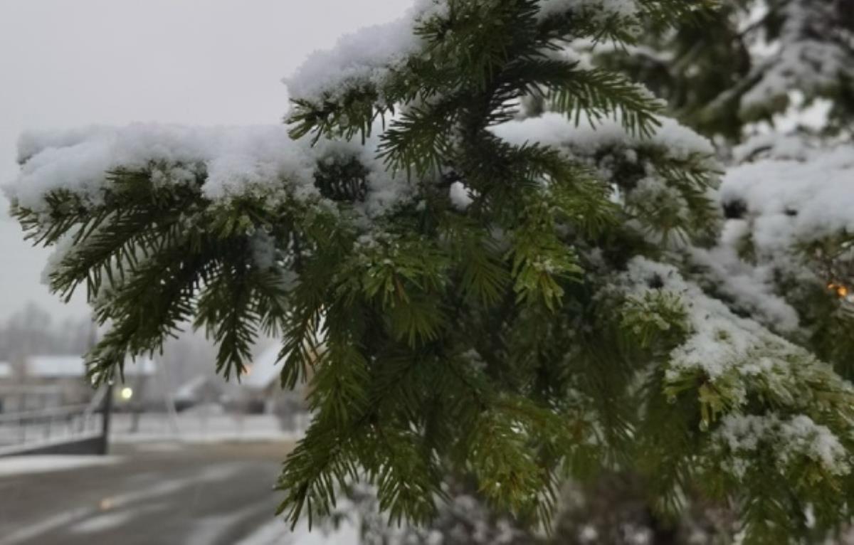 Небольшой ветер