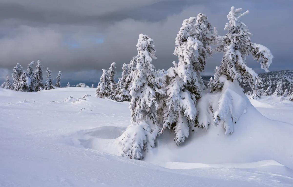 До -10 градусов