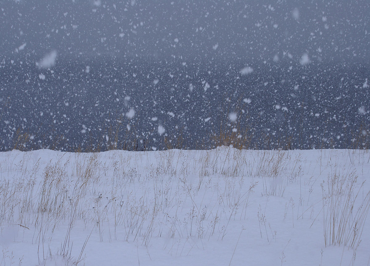 На улице потеплеет