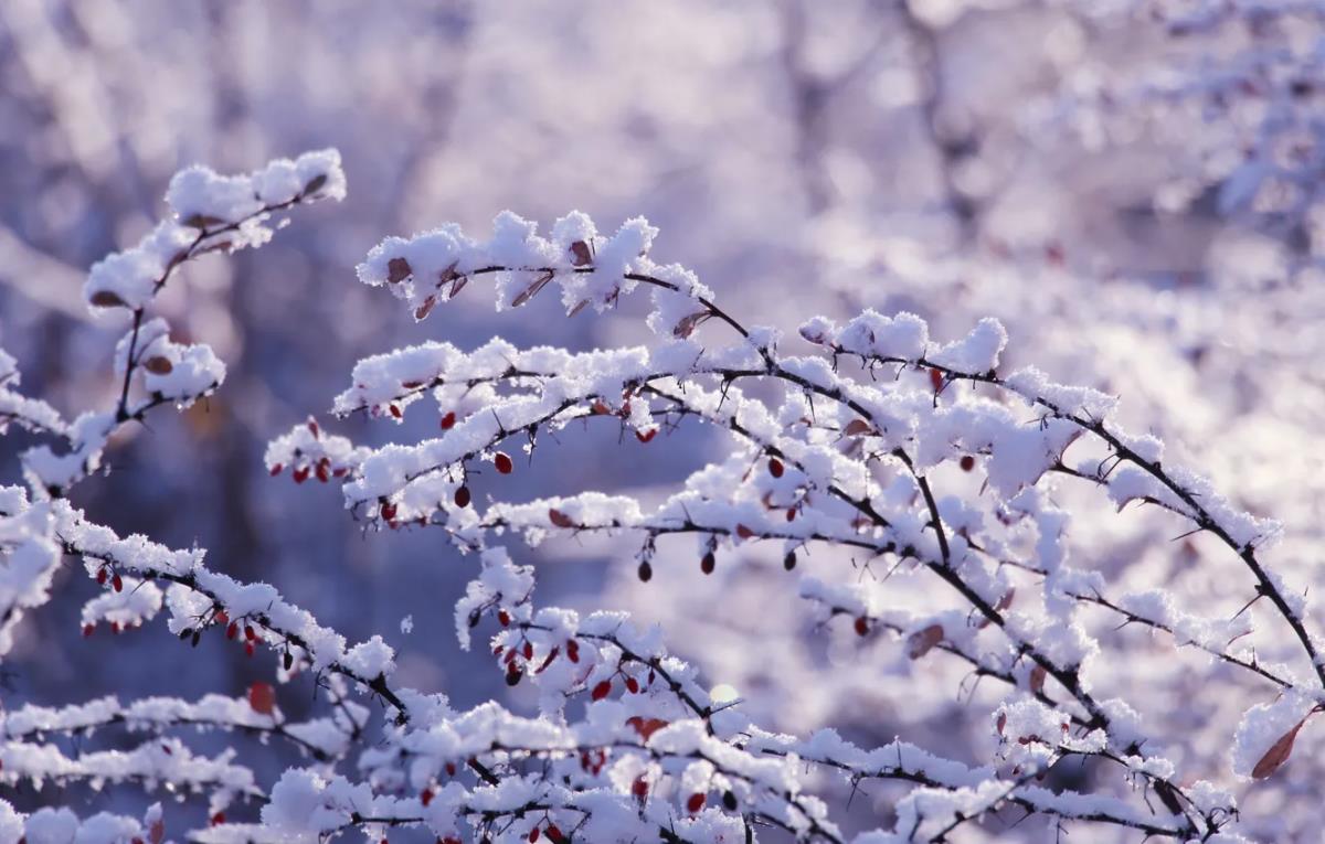 Снег продолжит идти