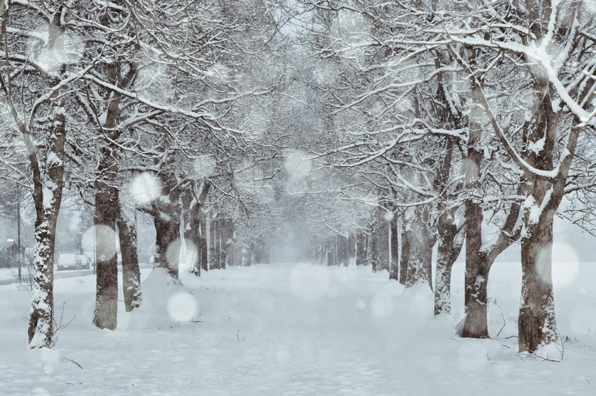 Комфортная температура