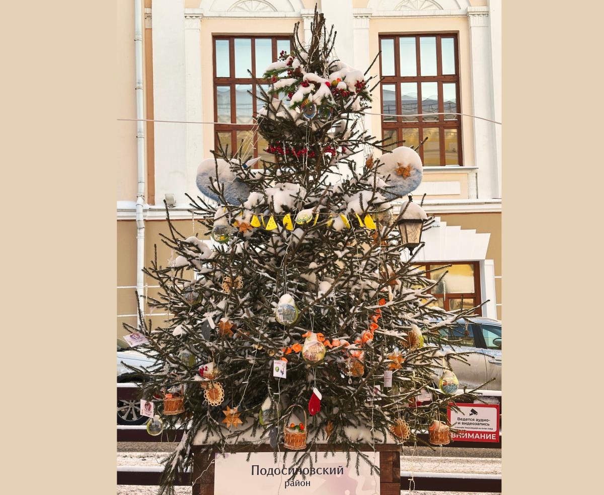 Жители и гости Кировской области выбрали лучшую новогоднюю ель