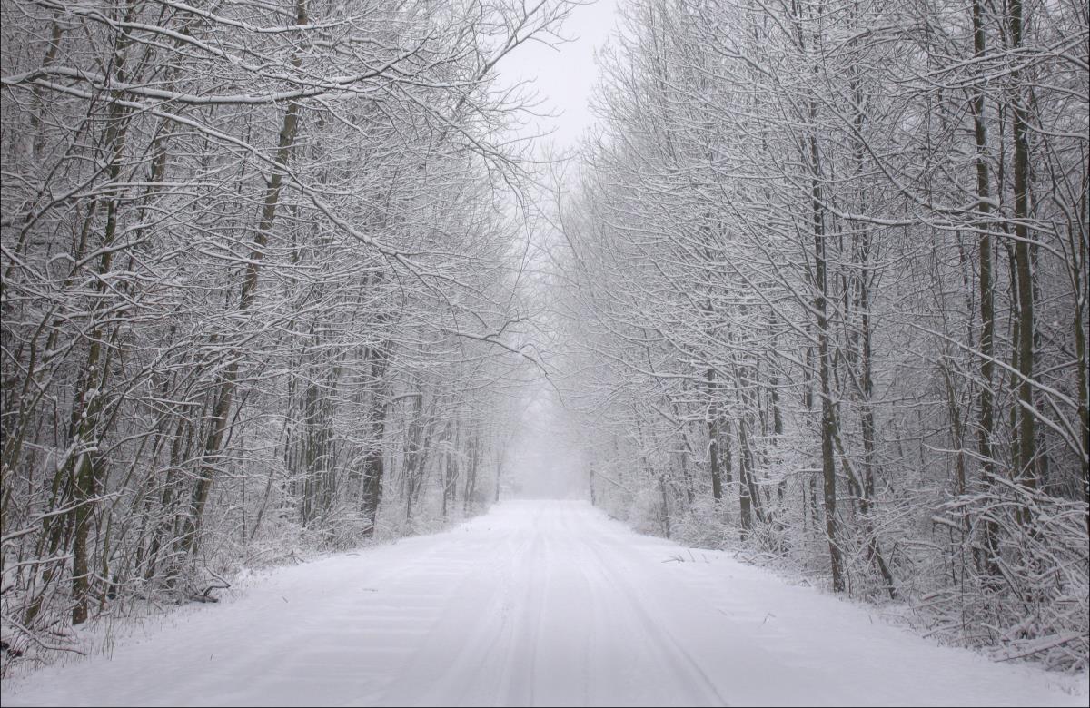 Снежный покров увеличится