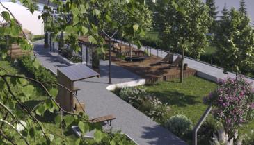 Саламндра_2