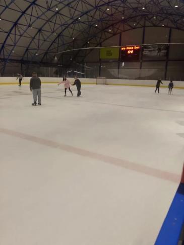 Бердников_1