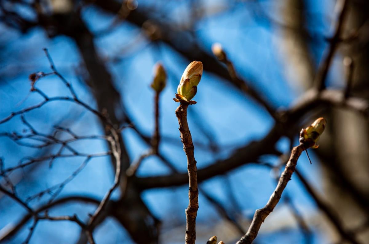 Становится все теплее