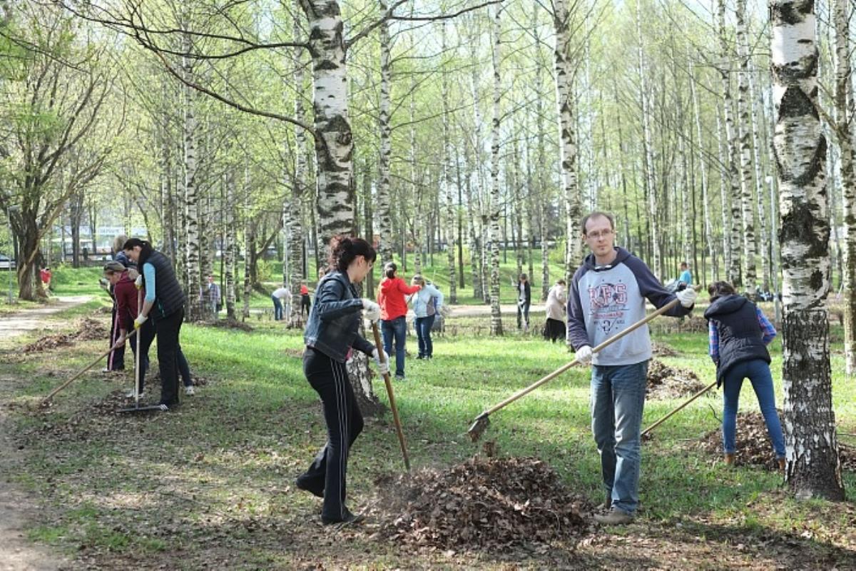 Губернатор поручил составить график уборки территорий