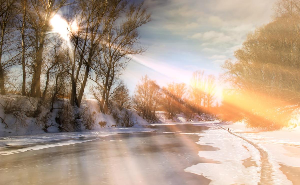 Днем до +16 градусов