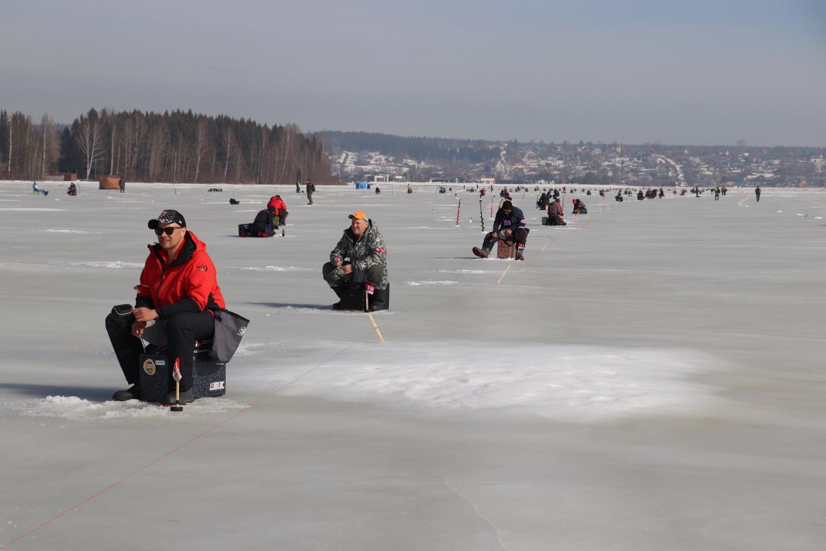 Более четырехсот килограммов рыбы