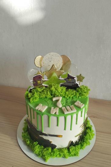 Емельянова_6