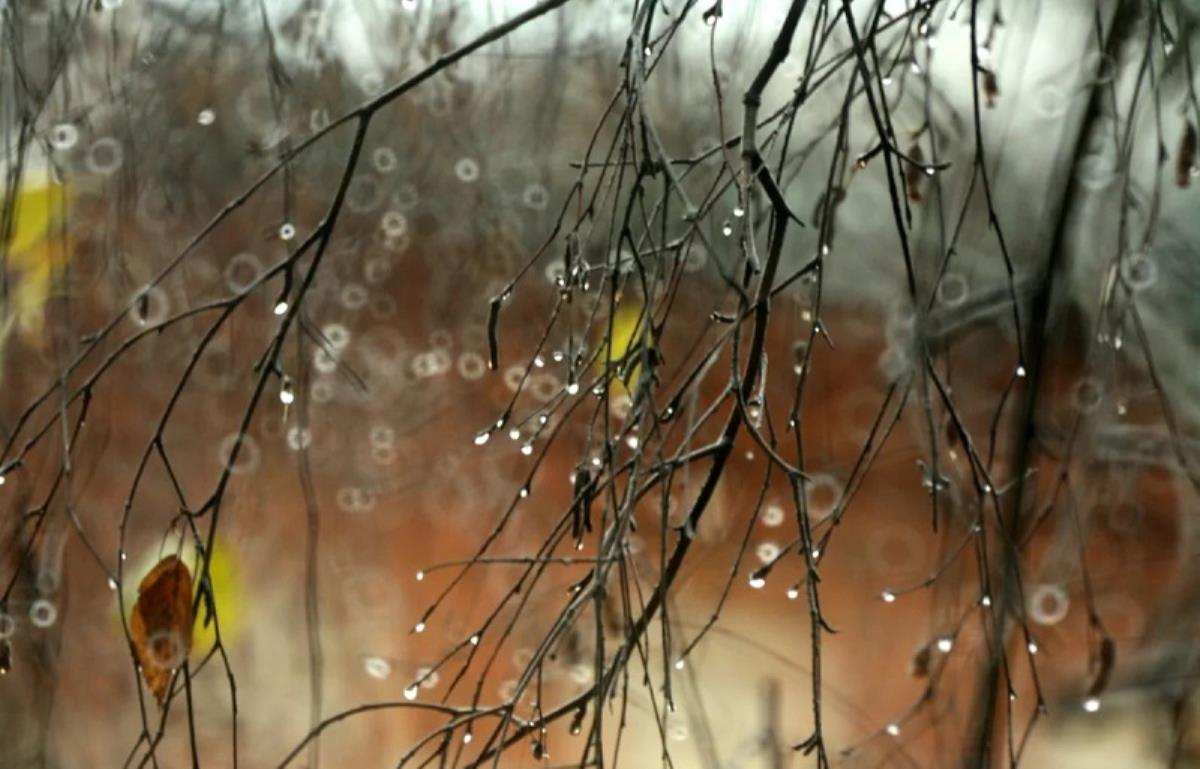 Плюс даже ночью