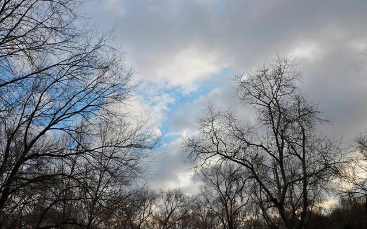 Возможен дождь