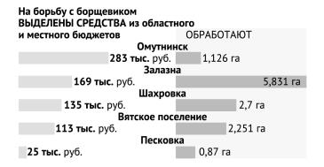Борщевик_графика